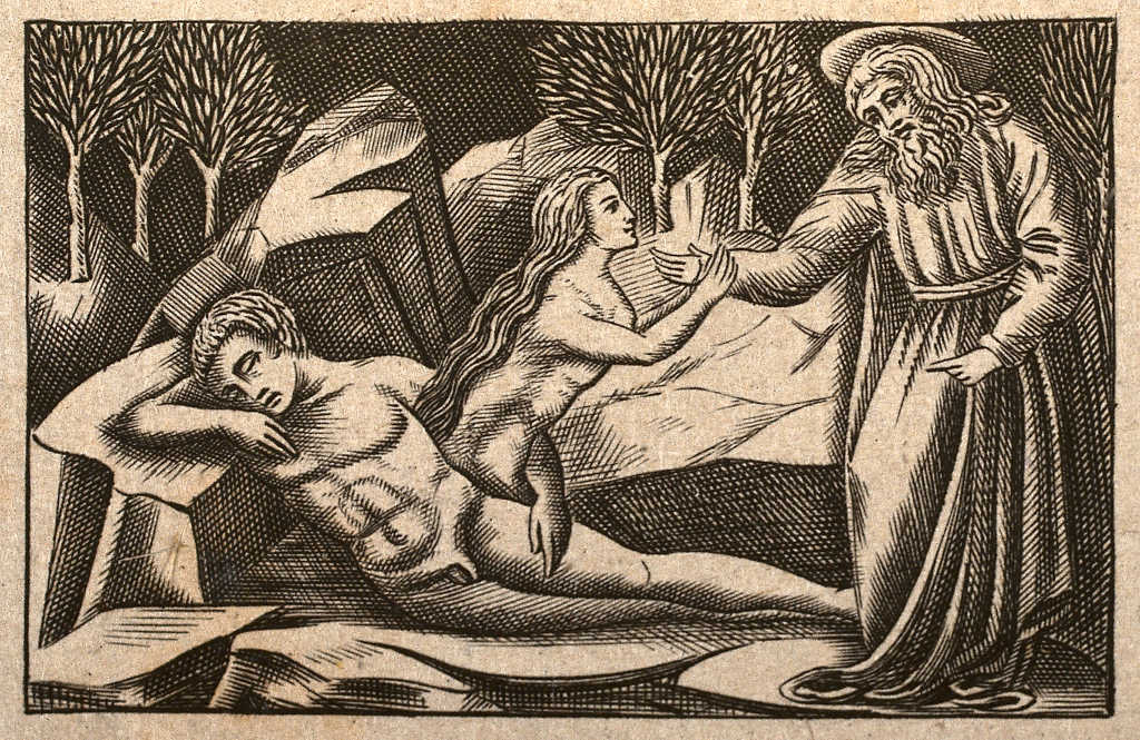 God creating Eve from Adam - Wellcome